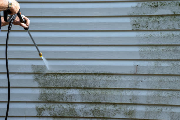 Shed Removal in Chaffee, MO